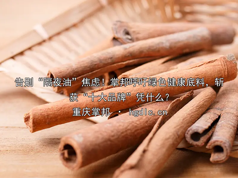 告别“隔夜油”焦虑！掌邦呼吁绿色健康底料，斩获“十大品牌”凭什么？
