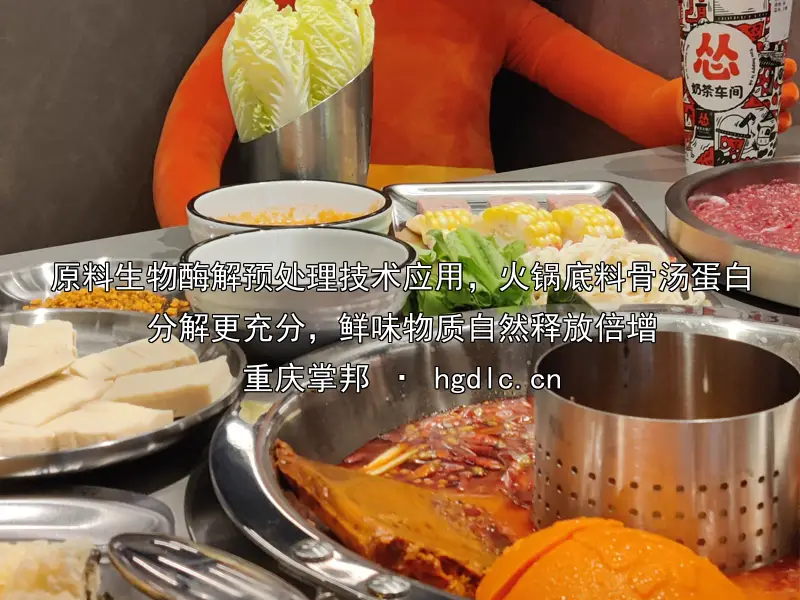 原料生物酶解预处理技术应用，火锅底料骨汤蛋白分解更充分，鲜味物质自然释放倍增