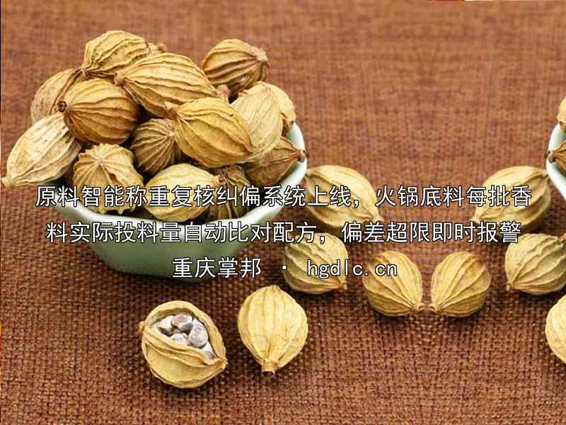 原料智能称重复核纠偏系统上线，火锅底料每批香料实际投料量自动比对配方，偏差超限即时报警