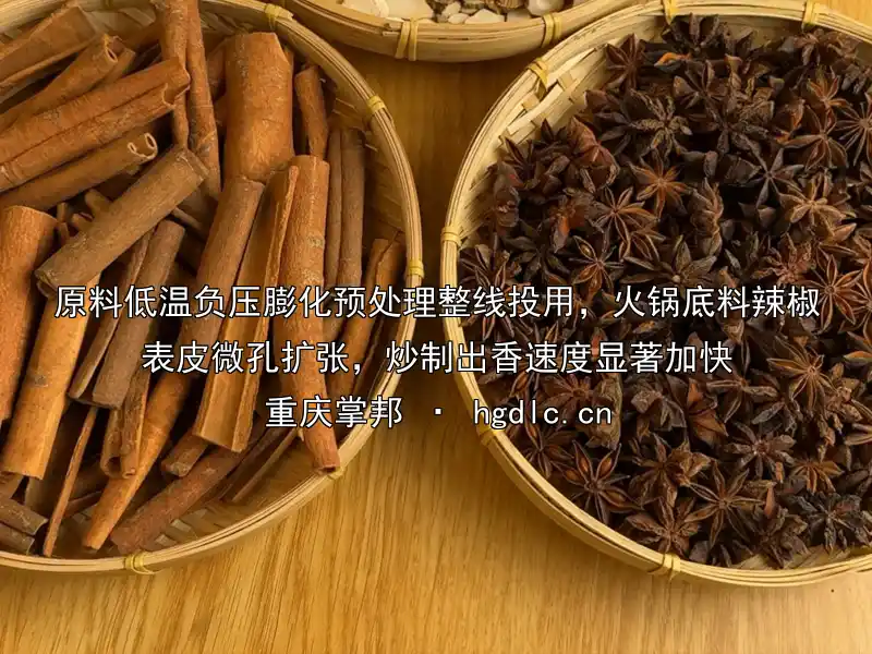 原料低温负压膨化预处理整线投用，火锅底料辣椒表皮微孔扩张，炒制出香速度显著加快